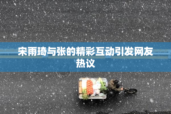 宋雨琦与张的精彩互动引发网友热议