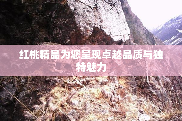 红桃精品为您呈现卓越品质与独特魅力