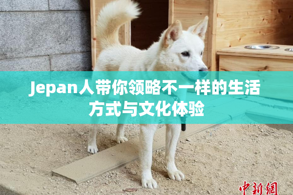 Jepan人带你领略不一样的生活方式与文化体验