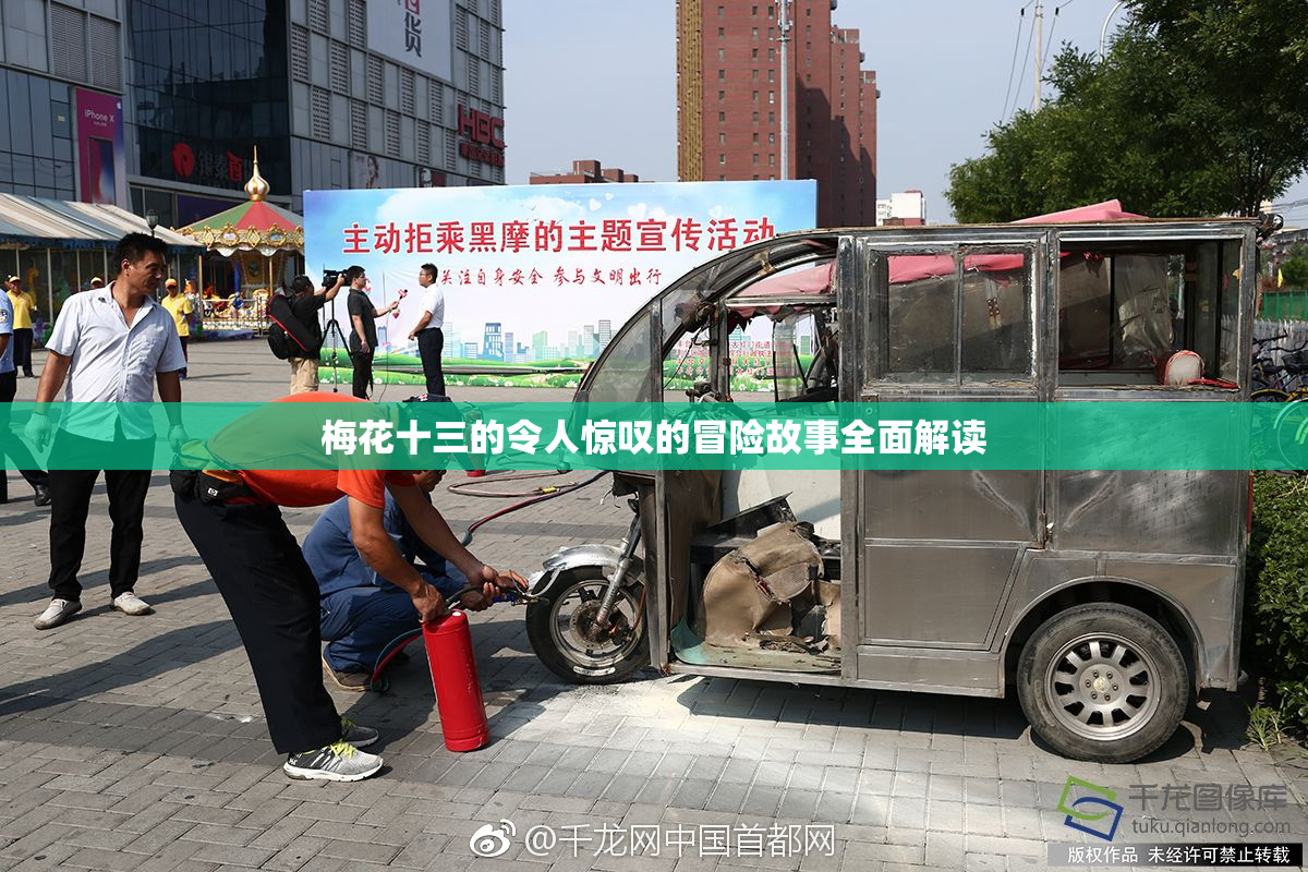 梅花十三的令人惊叹的冒险故事全面解读