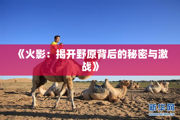 《火影：揭开野原背后的秘密与激战》
