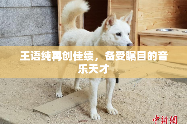 王语纯再创佳绩，备受瞩目的音乐天才