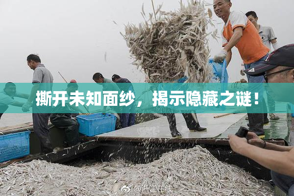 撕开未知面纱，揭示隐藏之谜！