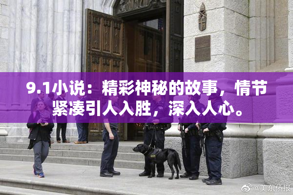 9.1小说：精彩神秘的故事，情节紧凑引人入胜，深入人心。