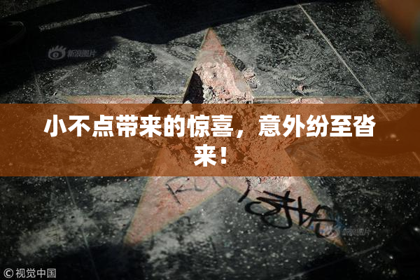 小不点带来的惊喜，意外纷至沓来！