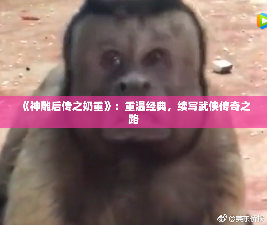 《神雕后传之奶重》：重温经典，续写武侠传奇之路