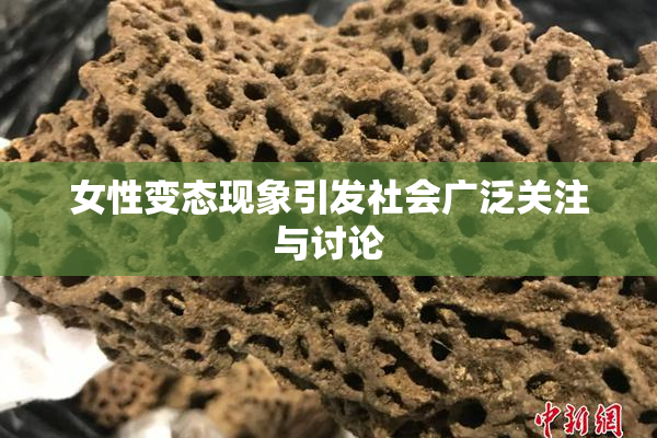 女性变态现象引发社会广泛关注与讨论