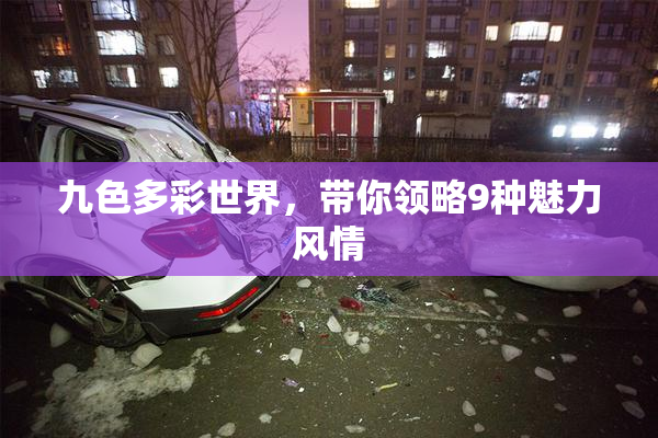 九色多彩世界，带你领略9种魅力风情