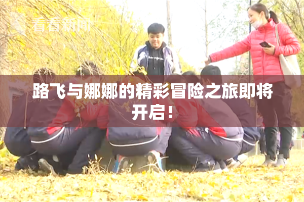 路飞与娜娜的精彩冒险之旅即将开启！