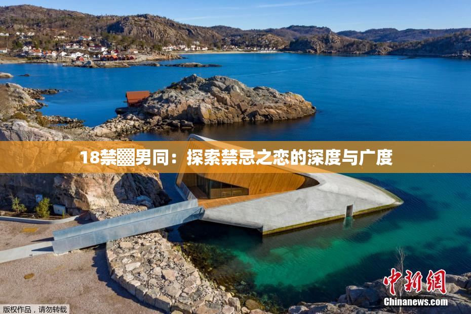 18禁▓男同：探索禁忌之恋的深度与广度
