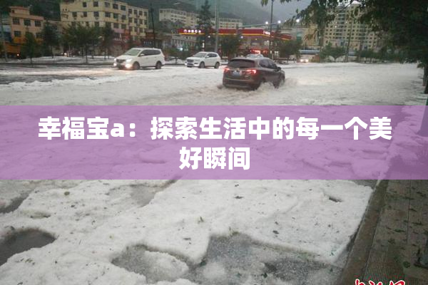 幸福宝a：探索生活中的每一个美好瞬间