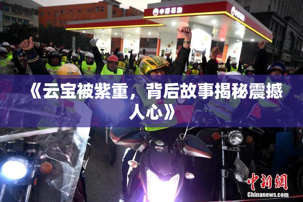 《云宝被紫重，背后故事揭秘震撼人心》