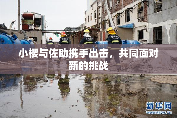小樱与佐助携手出击，共同面对新的挑战