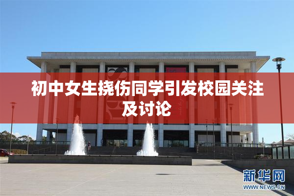 初中女生挠伤同学引发校园关注及讨论