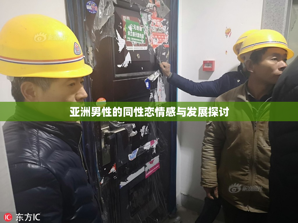 亚洲男性的同性恋情感与发展探讨