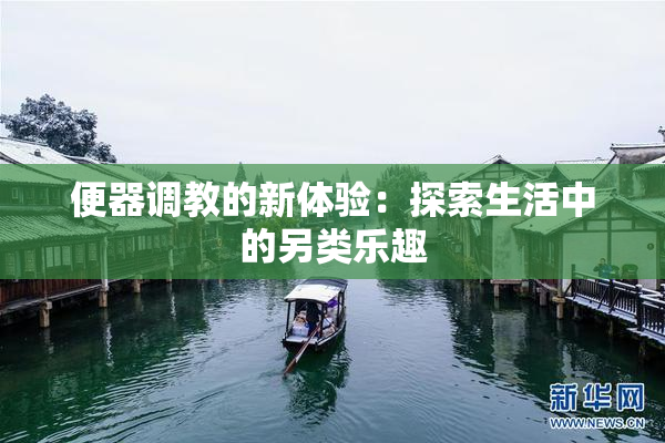 便器调教的新体验：探索生活中的另类乐趣