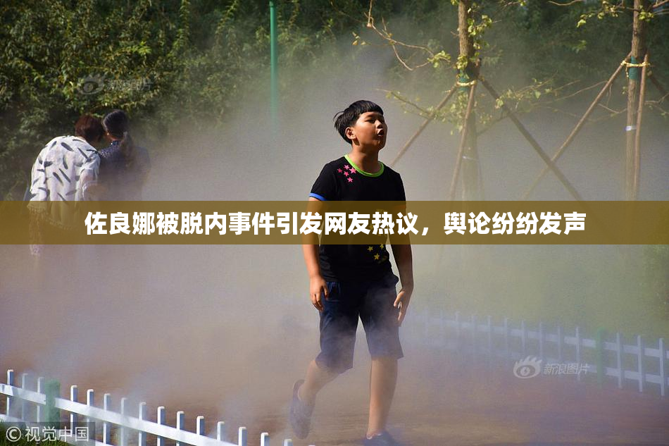 佐良娜被脱内事件引发网友热议，舆论纷纷发声