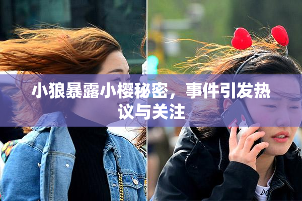小狼暴露小樱秘密，事件引发热议与关注