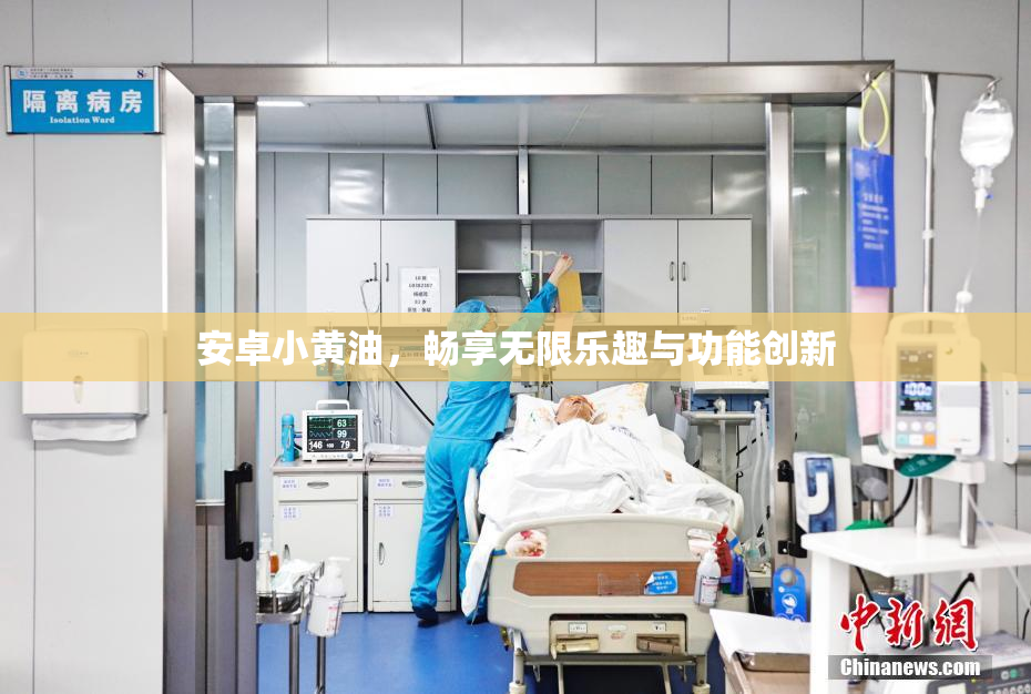 安卓小黄油，畅享无限乐趣与功能创新