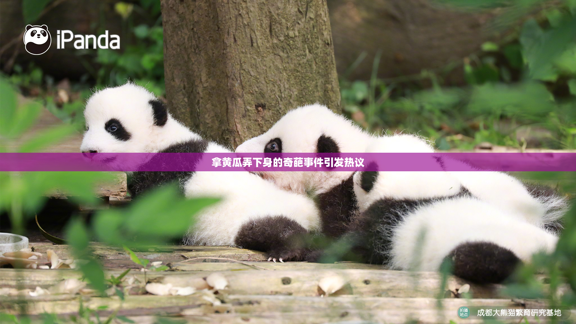 拿黄瓜弄下身的奇葩事件引发热议