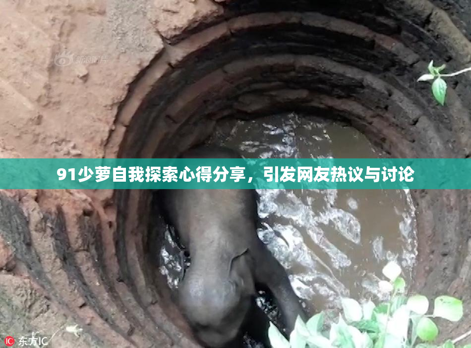 91少萝自我探索心得分享，引发网友热议与讨论