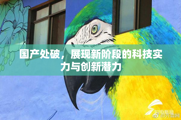 国产处破，展现新阶段的科技实力与创新潜力
