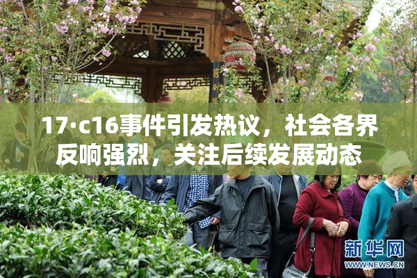 17·c16事件引发热议，社会各界反响强烈，关注后续发展动态