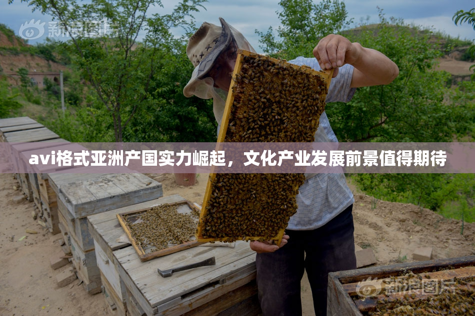 avi格式亚洲产国实力崛起，文化产业发展前景值得期待