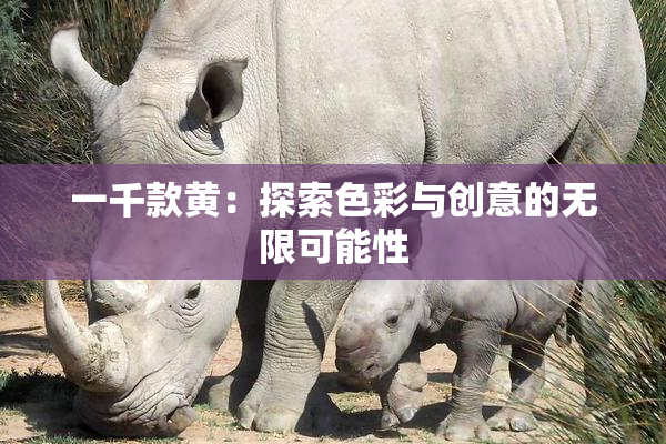 一千款黄：探索色彩与创意的无限可能性