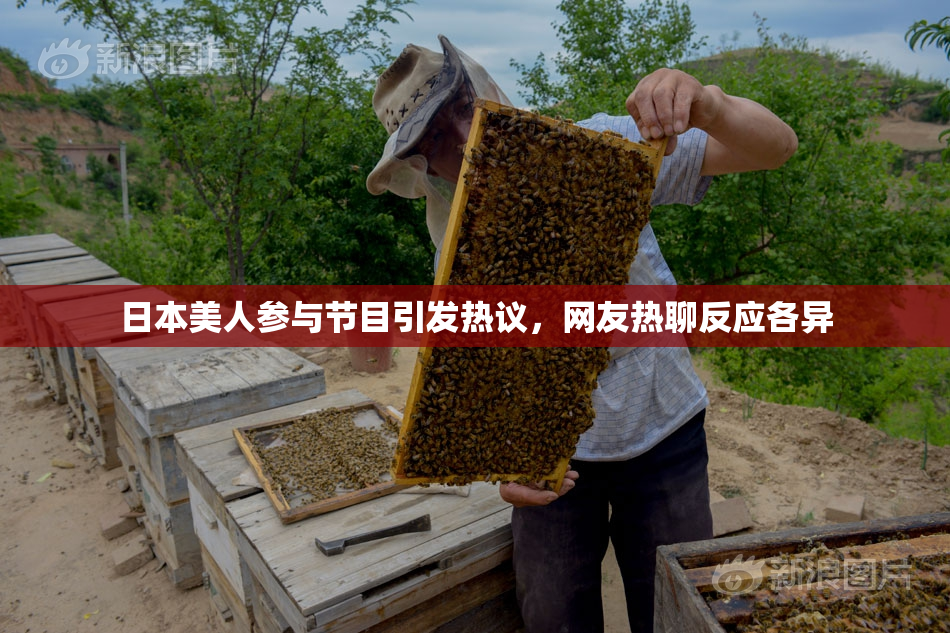 日本美人参与节目引发热议，网友热聊反应各异