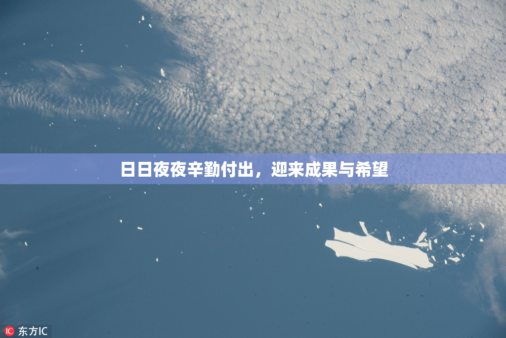 日日夜夜辛勤付出，迎来成果与希望
