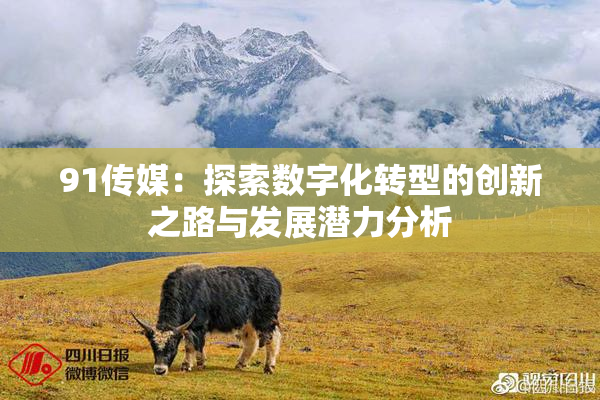 91传媒：探索数字化转型的创新之路与发展潜力分析
