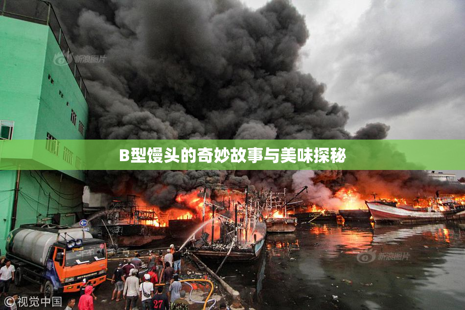 B型馒头的奇妙故事与美味探秘