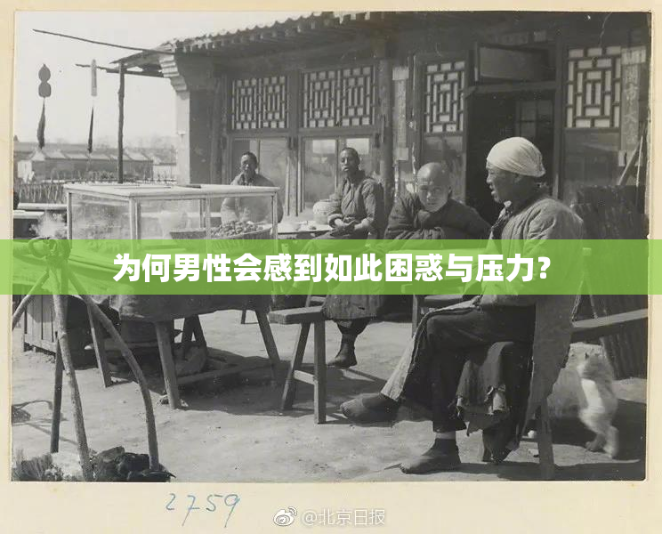为何男性会感到如此困惑与压力？
