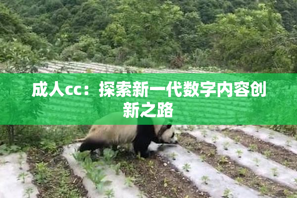 成人cc：探索新一代数字内容创新之路