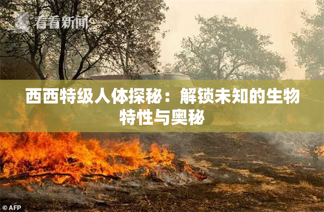 西西特级人体探秘：解锁未知的生物特性与奥秘
