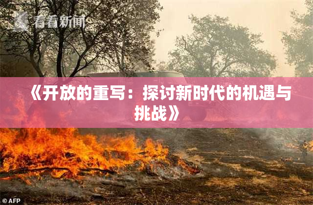 《开放的重写：探讨新时代的机遇与挑战》