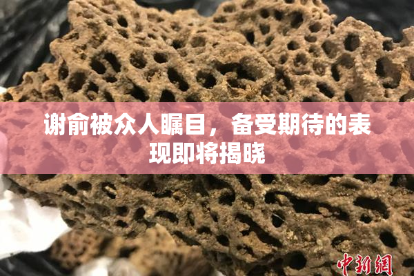 谢俞被众人瞩目，备受期待的表现即将揭晓