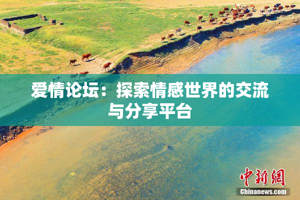 爱情论坛：探索情感世界的交流与分享平台
