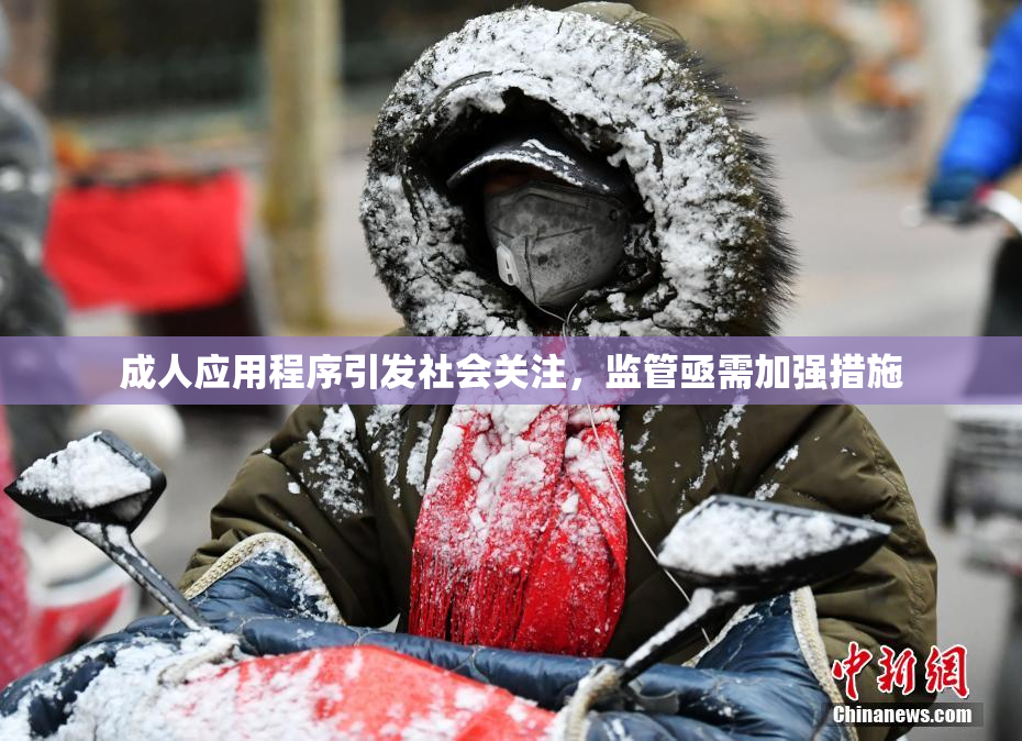 成人应用程序引发社会关注，监管亟需加强措施