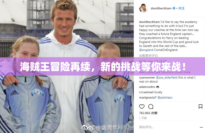 海贼王冒险再续，新的挑战等你来战！