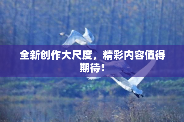 全新创作大尺度，精彩内容值得期待！