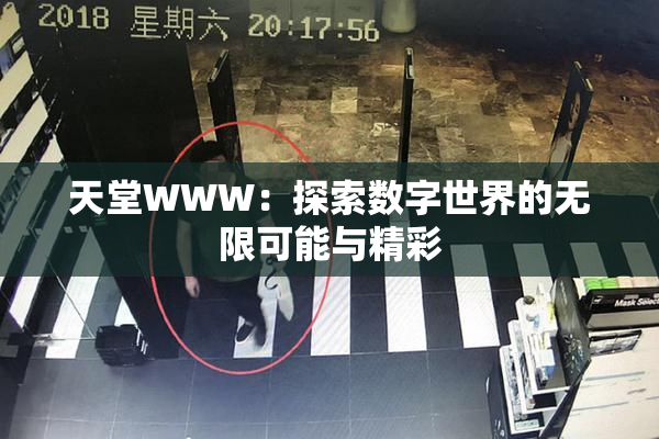 天堂WWW：探索数字世界的无限可能与精彩