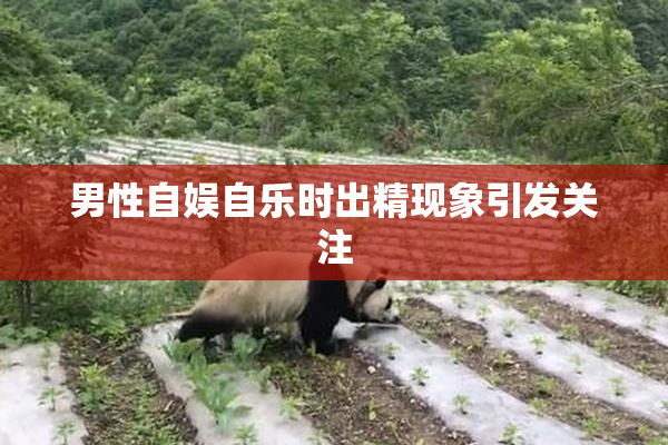 男性自娱自乐时出精现象引发关注