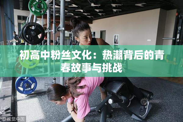 初高中粉丝文化：热潮背后的青春故事与挑战