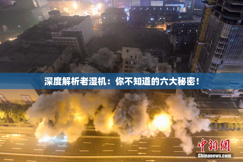 深度解析老湿机：你不知道的六大秘密！