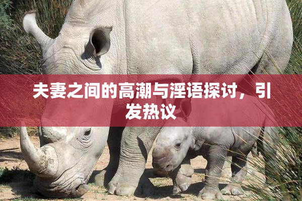 夫妻之间的高潮与淫语探讨，引发热议