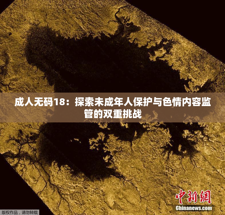 成人无码18：探索未成年人保护与色情内容监管的双重挑战