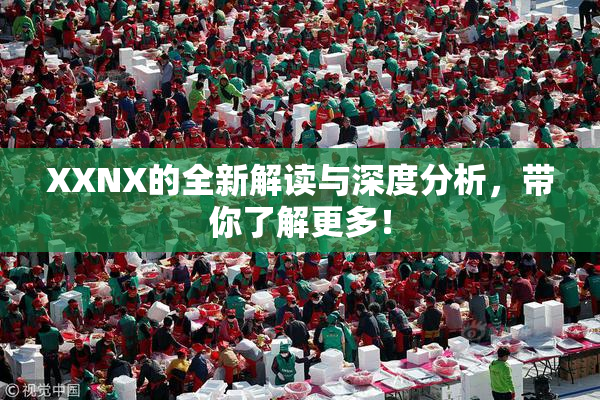 XXNX的全新解读与深度分析，带你了解更多！