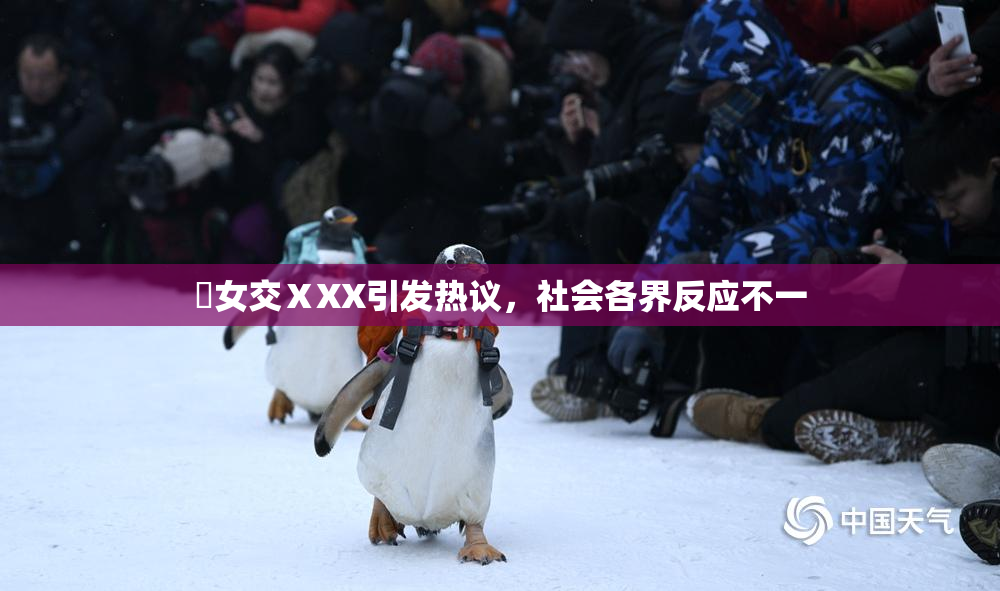 乣女交ⅩXX引发热议，社会各界反应不一